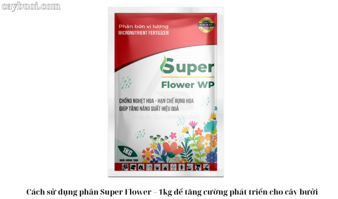 Cách sử dụng phân Super Flower – 1kg để tăng cường phát triển cho cây bưởi