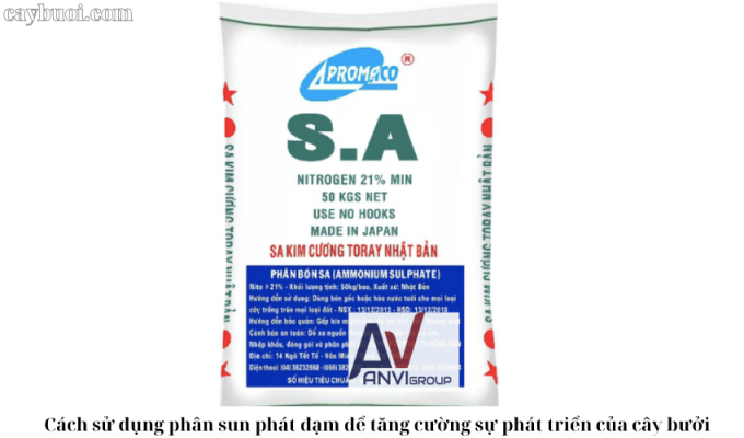 Cách sử dụng phân sun phát đạm để tăng cường sự phát triển của cây bưởi