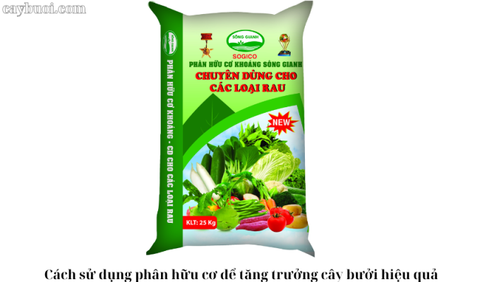 Cách sử dụng phân hữu cơ để tăng trưởng cây bưởi hiệu quả