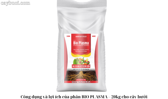 Công dụng và lợi ích của phân BIO PLASMA – 20kg cho cây bưởi