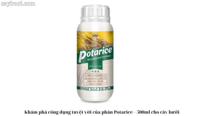 Khám phá công dụng tuyệt vời của phân Potarice – 500ml cho cây bưởi