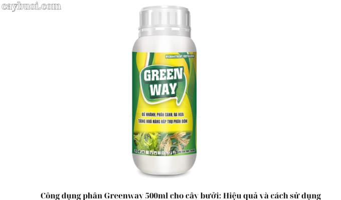 Công dụng phân Greenway 500ml cho cây bưởi: Hiệu quả và cách sử dụng