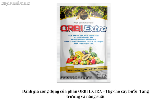 Đánh giá công dụng của phân ORBI EXTRA – 1Kg cho cây bưởi: Tăng trưởng và năng suất