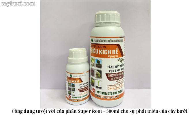 Công dụng tuyệt vời của phân Super Root – 500ml cho sự phát triển của cây bưởi