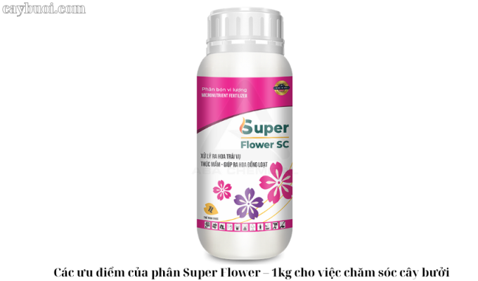 Các ưu điểm của phân Super Flower – 1kg cho việc chăm sóc cây bưởi