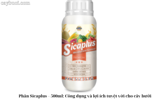 Phân Sicaplus – 500ml: Công dụng và lợi ích tuyệt vời cho cây bưởi